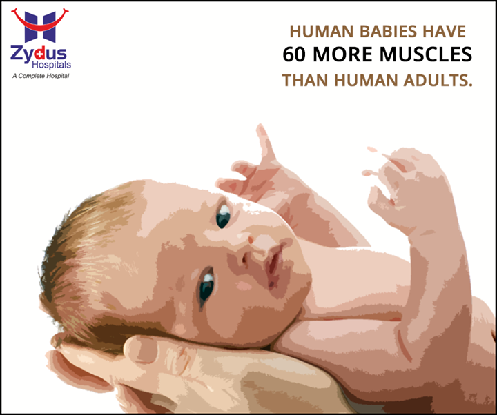 While babies may be small in size, they actually have more muscles than adult humans do.

#DidYouKnow #ZydusHospitals #Ahmedabad #Facts