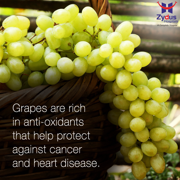 Give your health a boost with grapes, rich in anti-oxidants.

#GoodHealth #Grapes #Fruits #ZydusHospital #Ahmedabad