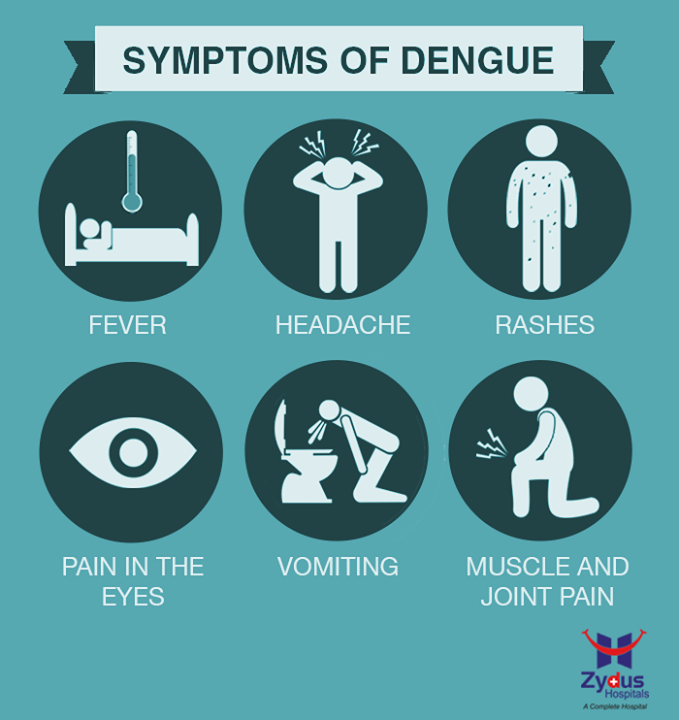 Dengue isn’t contagious but is certainly preventable and controllable. This disease is transmitted by a mosquito bite and the symptoms typically show between 4 to 7 days after being bitten by an infected mosquito. Early diagnosis and treatment can save lives. 

#Dengue #ZydusHospitals #GoodHealth #Ahmedabad