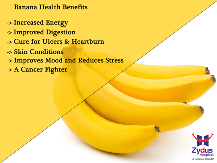 Loaded with vitamins and minerals like Vitamin C and Vitamin B-6, Bananas prove to be an excellent energy source for the body. Here are some health benefits of banana:-

#HealthBenefits #Banana #StayHealthy #HealthyLifestyle #ZydusHospitals #Ahmedabad