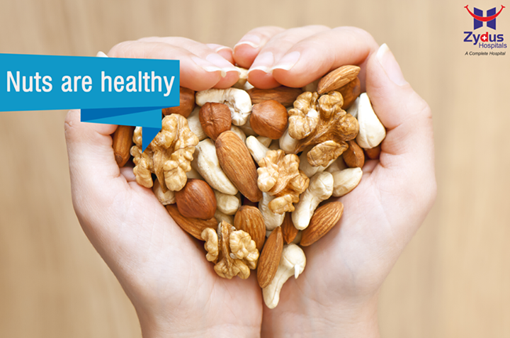 Did you know…?
People who regularly eat nuts, especially walnuts or almonds, reduce their risk of heart disease to almost half. Nuts contain unsaturated fats, folate, Vitamin B, Vitamin E, fiber, phytochemicals and heart healthy minerals.

#HealthyFood #HealthyNuts #HealthCare #ZydusHospitals #Ahmedabad