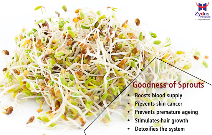 Sprouts are wonder food due to its high nutritional value. Natural sprouts are good for a healthy body and mind development. 

Here are few of its health benefits:

#HealthCare #ZydusHospitals #Ahmedabad