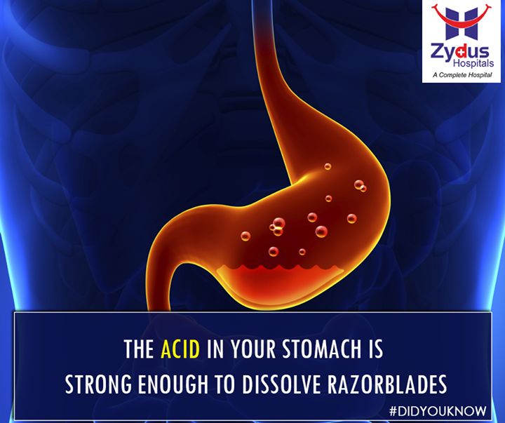 The reason it doesn’t eat away at your stomach is that the cells of your stomach wall renew themselves so frequently that you get a new stomach lining every three to four days.

#FridayFacts #DidyouKnow #ZydusHospitals #Ahmedabad