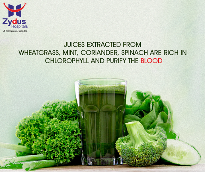 Adding a green smoothie punch to your day can totally transform your health. 

#HealthCare #ZydusHospitals #Ahmedabad