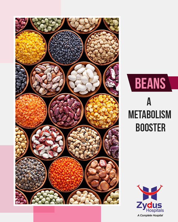 Beans are highly versatile in the kitchen, while being full of fiber and resistant starch. This makes beans tough to digest, boosting metabolism and decreasing fat storage. Including beans in your diet is both, a delicious and beneficial

#HealthBenefits #ZydusHospitals #ZydusCare #StayHealthy #Ahmedabad