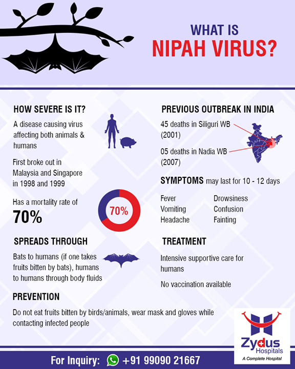 **#Nipahvirus**

#ZydusHospitals #StayHealthy #Ahmedabad #GoodHealth