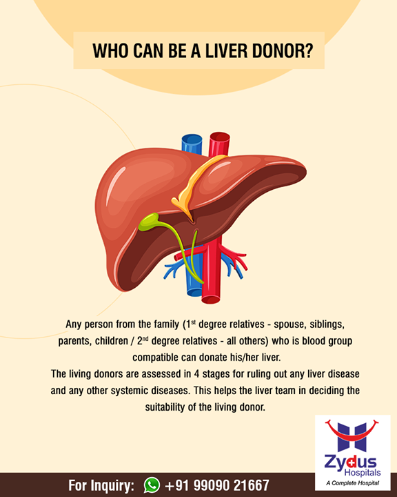 Who can be a Liver Donor?

To know more on liver diseases, click - healthyliverclinic.com

#HealthyLiver #ZydusHospitals #StayHealthy #Ahmedabad #GoodHealth #HealthyLiverHealthyLife