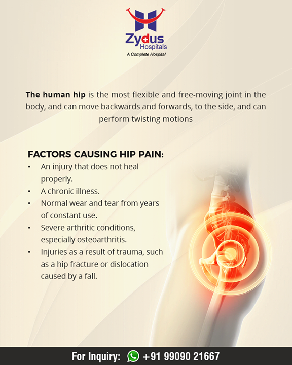 #DidYouKnow The human hip is the most flexible and free-moving joint in the body, and can move backwards and forwards, to the side, and can perform twisting motions.

#HumanBodyFacts #HumanHip #ZydusHospitals #Ahmedabad #GoodHealth #WeCare