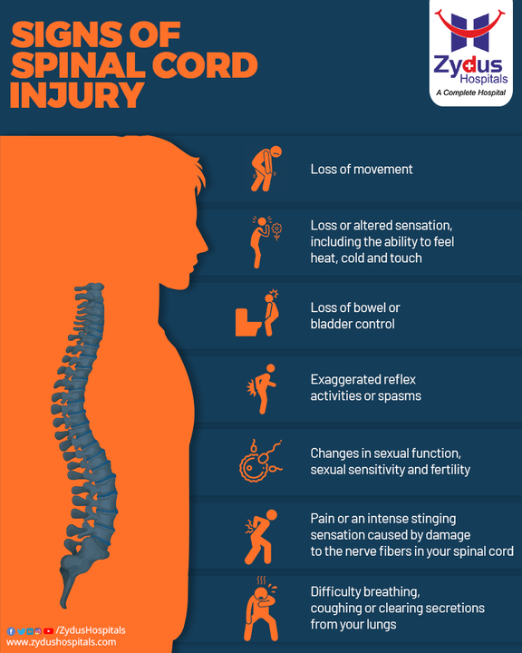 Spinal Cord Injury is a serious physical trauma that’s likely to have a lasting impact on most aspects of daily life because it often causes permanent changes in strength, sensation and other body functions. The ability to have control over your limbs depends on the place of the injury and the severity of it. 

Consult a Spine expert as soon as you experience any of these symptoms. 

#SpinalCord #SpinalCordInjury #Spine #Nerves #SafeSpineSurgery #SpineSurgery #BackPain #Injury #ZydusHospitals #HealthCare #StayHealthy #ZydusCare #BestHospitalinAhmedabad #Ahmedabad #GoodHealth