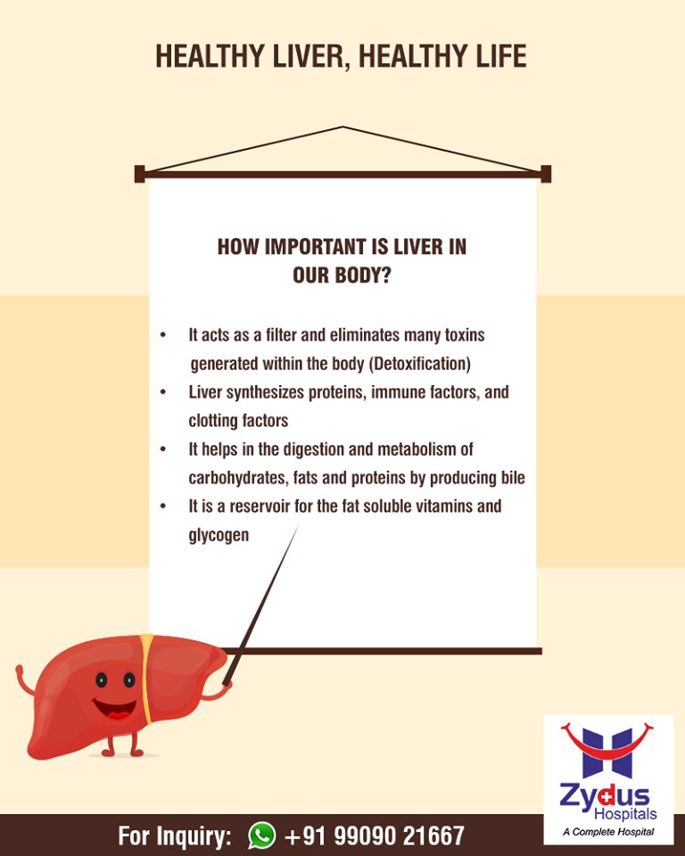 The liver is the largest solid organ in our body and is situated in the upper right quadrant of the abdomen. 

To know more on liver diseases, click - https://t.co/hU3MxbGsvp

#HealthyLiver #ZydusHospitals #StayHealthy #Ahmedabad #GoodHealth #HealthyLiverHappyLiver https://t.co/RDyd3f88nH