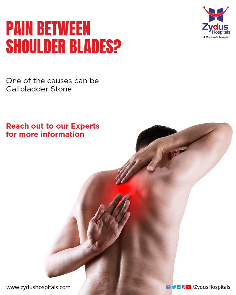 Pain between shoulder blades?

Before it causes further worry, get it checked by experts from the Department of Gastro Sciences @ Zydus Hospitals, Ahmedabad

To book an appointment, call: 079 6619 0300 / 079 7166 6000
 
#ShoulderBlades #Gallbladder #ZydusHospitals #ZydusExperts https://t.co/oAvJ73ujXW