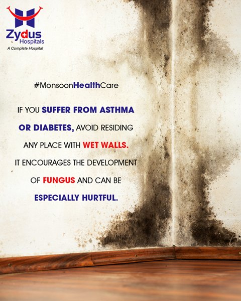 Wet walls are harmful during monsoon. 

#Monsoon #StayHealthy #ZydusCare #ZydusHospitals #Ahmedabad #Gujarat https://t.co/iH0IsXkiZO